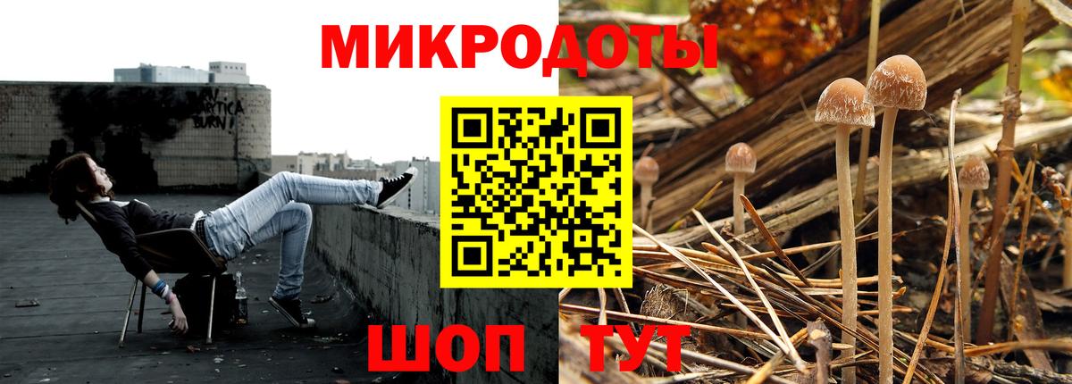 Галлюциногенные грибы Cubensis Заречный